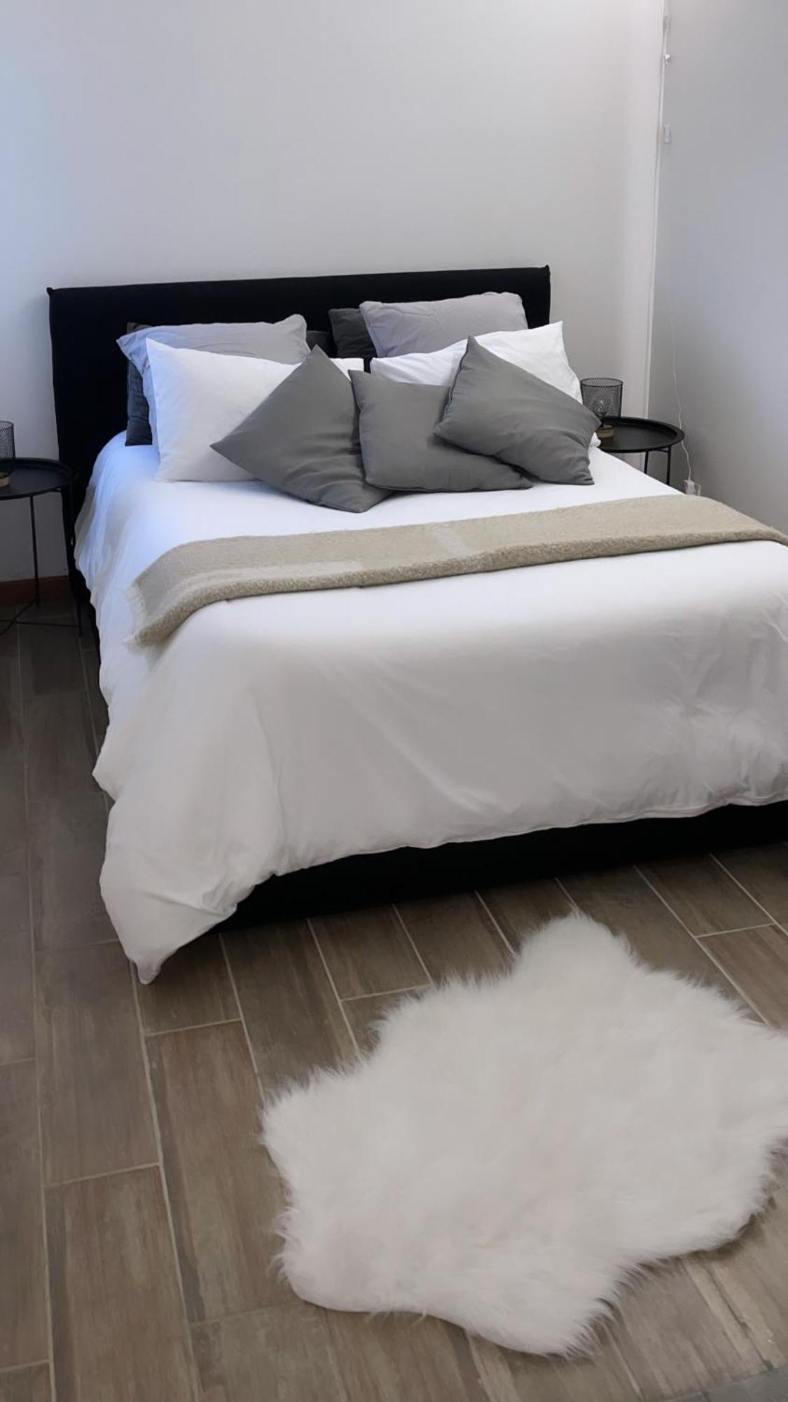 Elegant T2 Blagnac - Parking -Aeroport-Airbus- Meett Apartment Ngoại thất bức ảnh